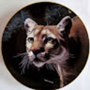 Meet your Posher, Jesus